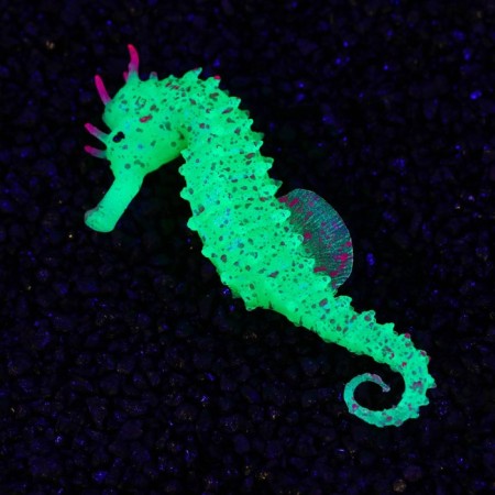 Decor for the Aquarium "Sea Horse" Silicone, with a neon effect, 2 x 4 x 10 cm, green 71088