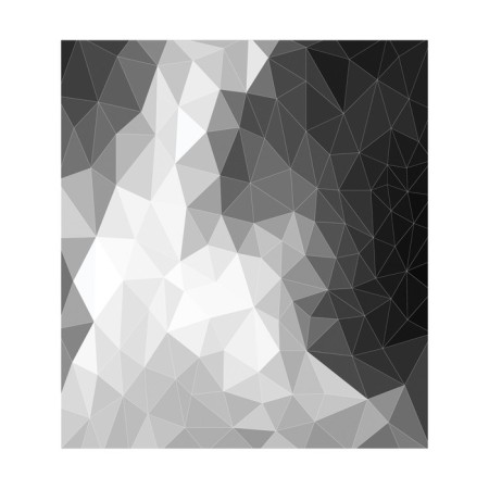 A set of napkins for setting the Prisms Mona table, rectangular, size 32x46 cm, 4 pcs-2