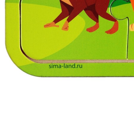 Puzzles on the substrate "Africa"-5