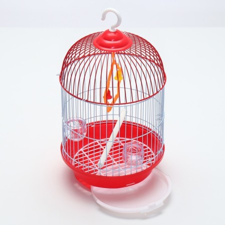 Birds Cell-Kound equipped BD-4/2, 23.5 x 33 cm, red-2