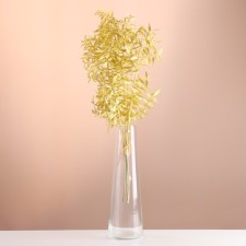 Set of dried flowers 