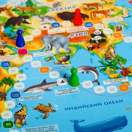 Board game "Animal World of the Earth"-3