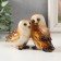 Souvenir Polystone Lak "Ordinary Sipuhi (Owls)" 14.8x6.5x8.7 cm