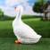 Garden figure "Goose" 23x14x30cm ////