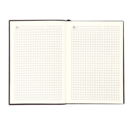 The diary is low, the A6+format, 116 sheets, a cage, brown light, tint. cut-6