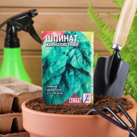 Spinach seeds "Fat", 3 g-2