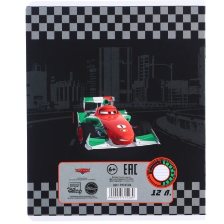 Notebook in a ruler of 12 sheets, 5 types of mix, cover coated cardboard, cars-11