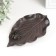 Souvenir cast iron stand "Frog on the sheet" 1x19x11 cm