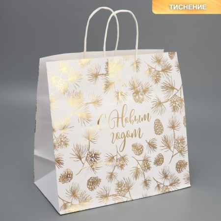 Package Gift Craft Gold, 32 x 28 x 15 cm, New Year-1