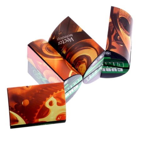 Puzzle "Erudite"-2