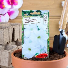 Flowers of Petunia Super Cascade White Sea F1, o, 10pcs