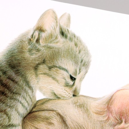 Stick 3D interior cats 30*30cm-2
