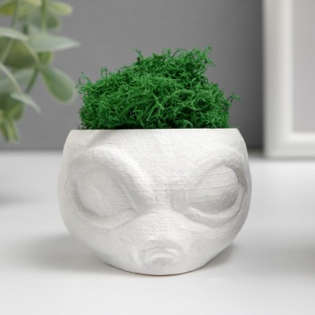 Kashpo concrete "alien" height 5 cm, diameter 6 cm white with moss (moss green. Stabilizir)