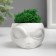 Kashpo concrete "alien" height 5 cm, diameter 6 cm white with moss (moss green. Stabilizir)