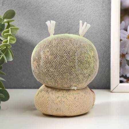 Growing gift Eco -Zhizhivchik "Domovaya" mix-6