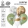 Latex balloon 12 "" Botanika ", pastel, chrome, 25 pcs., Mix