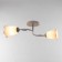Lily chandelier (flower) 2x15W E27 Model: BR 00255 White