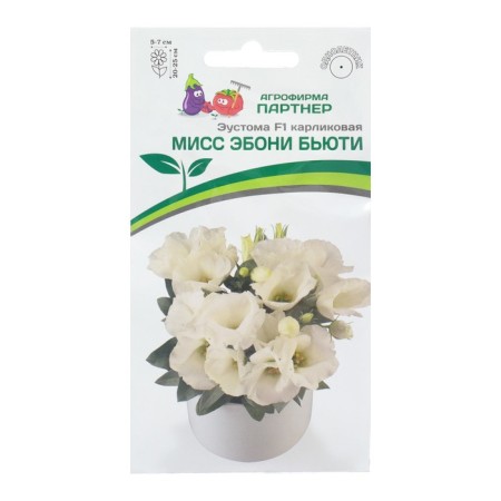Eustoma flower seeds dwarf ivory "Miss Ebony Beati F1", 5 pcs