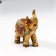 Souvenir Polystone "African Elephant in the Golden, Openland Popone" MIX 8.5x7x3 cm