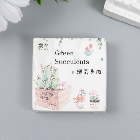Stickers for creativity "Sukkulents in pots" set of 45 pcs 4.4x4.4x1.1 cm-3