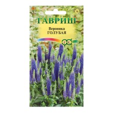 Veronica seeds 