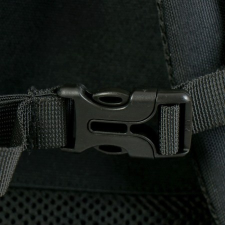 School backpack Bruno VisConti, 42 x 31 x 14 cm, ergonomic back, "magic fox"-6
