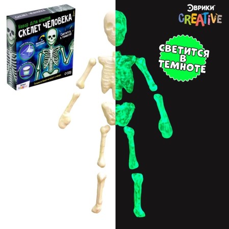 Set for experiments "Human Skeleton"