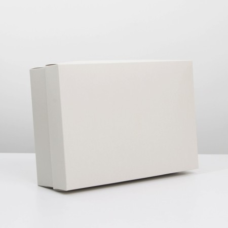 Gift folding box, packaging, "beige", 30 x 20 x 9 cm-1