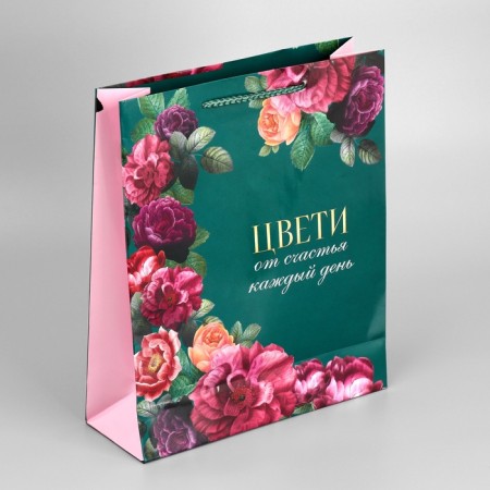 Gift package laminated, packaging, “every day”, m 24 x 29 x 9 cm-6