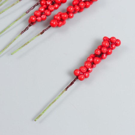 Decor for creativity "Vetochka with berries" Red set 10 pcs 1x1x9 cm