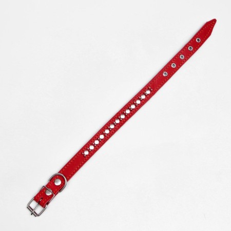 Leather collar on synthetic winterizer "Hedgehog", 56 x 2.5 cm, Osh 35-45 cm, red-4