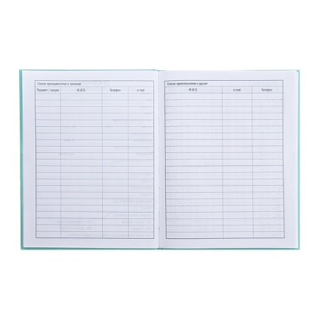 Universal diary for grades 1-11 of "Fragile tenderness", solid cover, glossy lamination, sparkles, 40 sheets-5