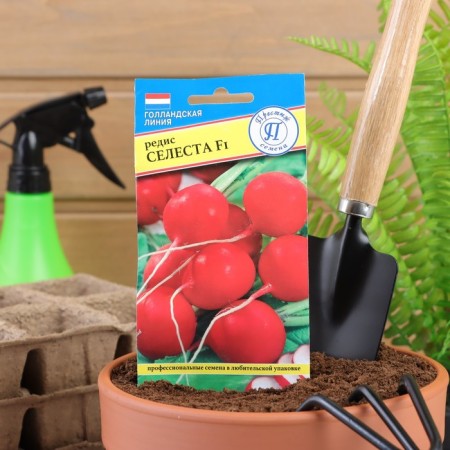 Seeds Radis "Celesta" F1, 1 g-2