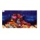 Background for aquarium, 50 cm, roll 25 m