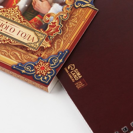 Diary in the gift box of the "Fairytale Year", A5, 60 sheets, on the crest-3