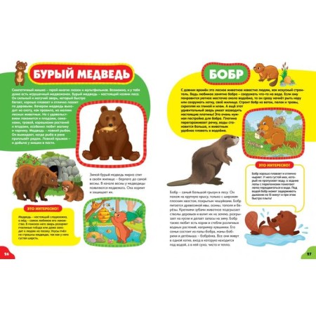Animals for kids-6
