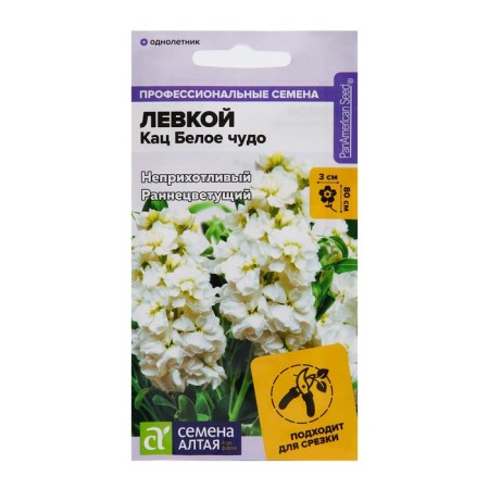 Flower seeds with left -handed Katz "White Miracle", Terry, 8 pcs