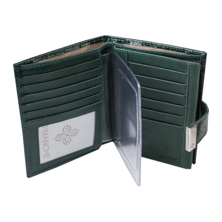 Cover for auto documents on the button, green color-2