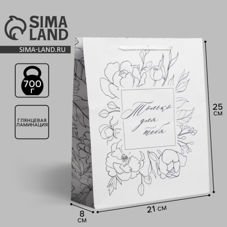 Gift laminated package, packaging, for you, ml 21 x 25 x 8 cm-1