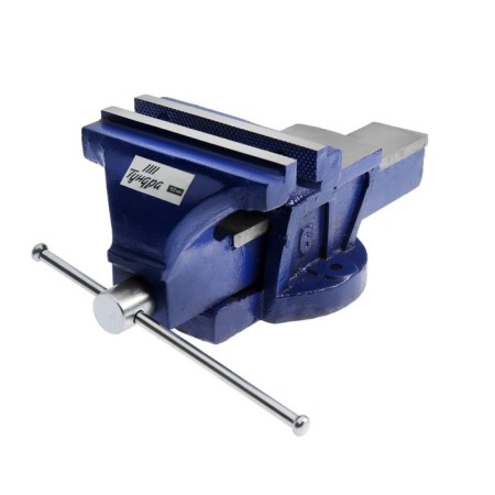 Grip of locksmith tundra, with an anvils, high-strength cast iron СР-40, 150 mm
