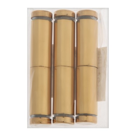 Remote holder for plates, 16x40 mm, color gold, set 6 pcs.-6