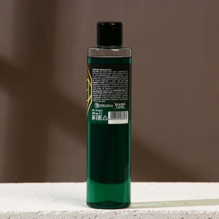 Shower gel “From February 23!”, 250 ml, mint and lime aroma, Hard Line-1