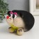 Growing gift grass "Hedgehog"