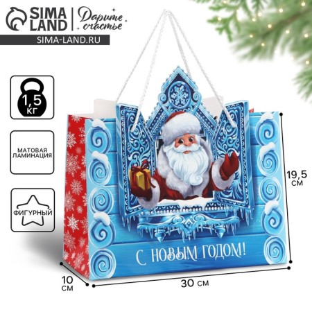 Gift Package "Santa Claus", 30 x 26 x 10 cm, New Year