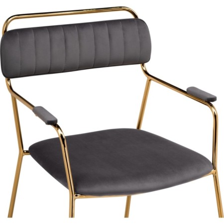 ASPEN Metal/velor Metal Carcass, gold/gray 60x65x86 cm-4