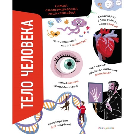 The human body. The most anatomical encyclopedia. Romano A.