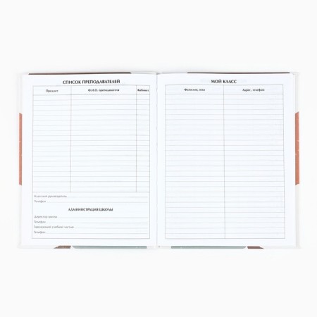 School diary for grade 1-11, in an integrated cover, 40 l. "Abstraction"-1