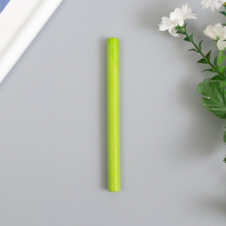 Surgut for printing "light green" set of 10 pcs 13.2x1.1 cm-1