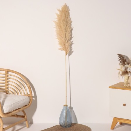 Sukhotzet "Cortery", 1 branch, length 140-150 cm, natural