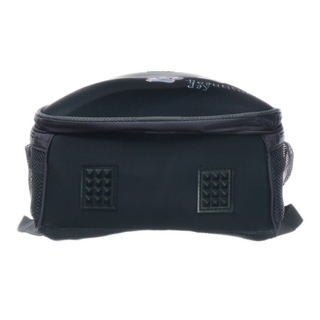 School backpack 38 x 30 x 16 cm, ergonomic back, stavia "paws", gray-6